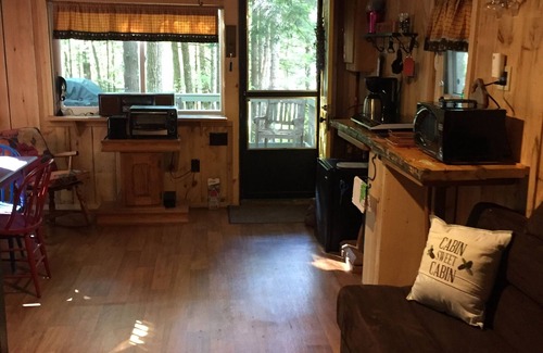 Manchester Cabin | Cabin in woods, with row to the lake