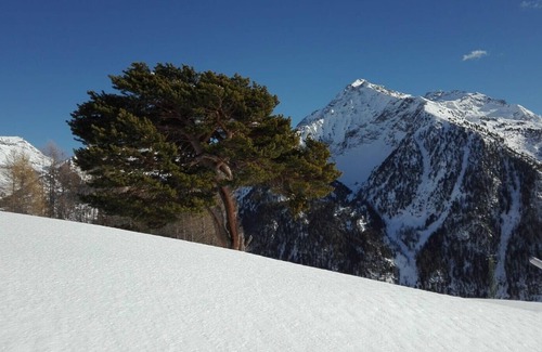 Champoluc Cottage | Cabin Mountain Adventures Cabin - Affitti Brevi Italia