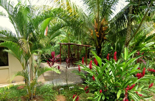 Baru Cabin | Cabina Near Nauyaka WaterFalls