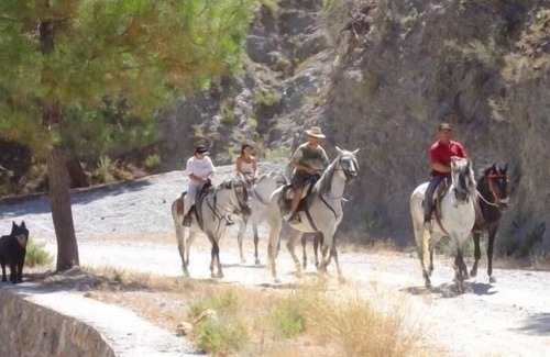 Barig Cottage | Cabins and wooden bungalows La Falaguera for 4 people