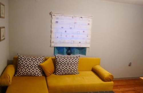 Radnevo Apartment | Cactus house