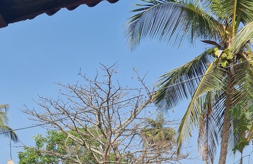 Bubaque Hotel | Cajou Lodge