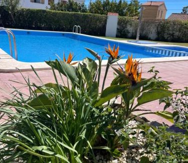 Vinaros Apartment | Cala puntal