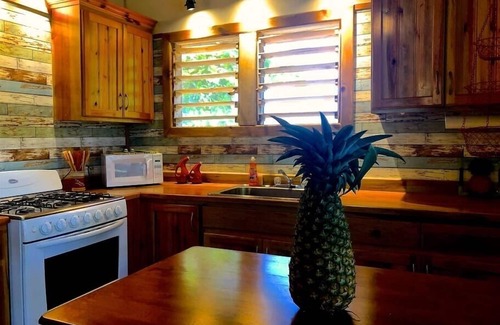 Calabash Bight Cottage | Calabash Reef House, 2 Bedrooms- Steps To The Ocean