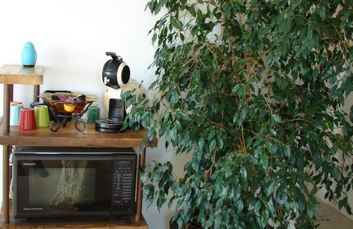 Callian Apartment | Callian - Enchanting view for this beautiful independent studio.