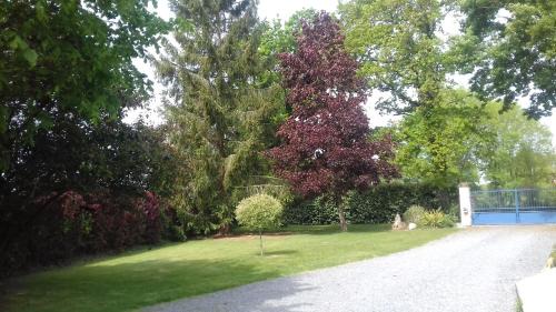 Saint-Grave Apartment | Calme et nature