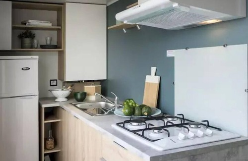 Vieilles-Maisons-sur-Joudry House | Camping Seasonova The Wood Pond * - PRESTIGE COTTAGE 3 bedrooms 6 persons