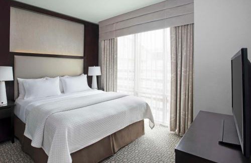 White Plains Hotel | Cambria Hotel White Plains - Downtown
