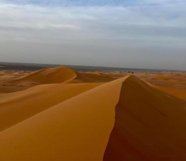 Hassilabied Bed & Breakfast | Camels House
