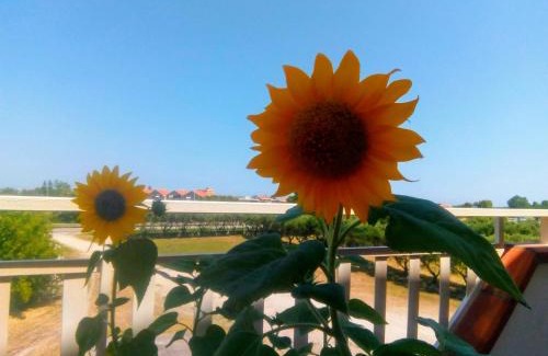 Marina di Montenero House | Camera doppia in affitto con bagno privato