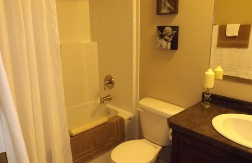 Gull Lake Apartment | Campbell's Clean & Comfortable Modern Duplex 4472B