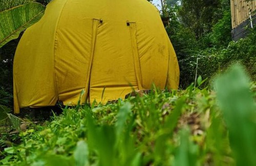 Hargomulyo Other | Campground Sepapring Mikjager