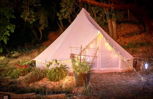 Willow Creek Other | Camping ∙ 1 bedroom ∙ 2 guests