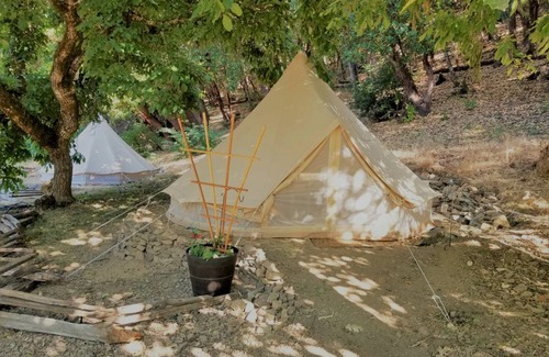 Willow Creek Other | Camping ∙ 1 bedroom ∙ 2 guests