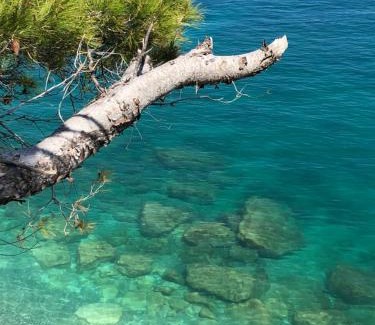 Mattinata Apartment | Camping Apartment Vignanotica