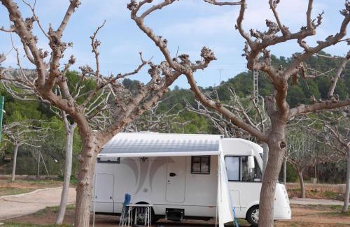 Benicassim Other | Camping Azahar