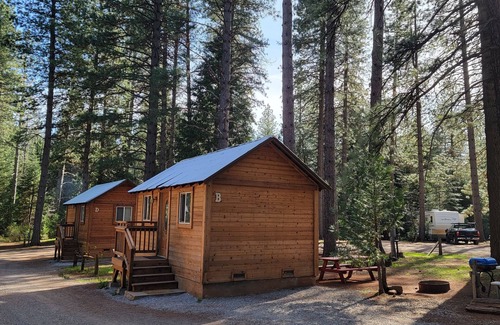 Shingletown Cabin | Camping Cabin B at Bigfoot Lodging Lassen NP