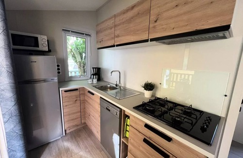 Aubigny-les-Clouzeaux House | Camping Campilo * - Premium Cottage + Lake view 4 rooms 6 people Air-conditioned