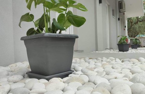 Zalongo Hotel | Camping Corali & Apartments