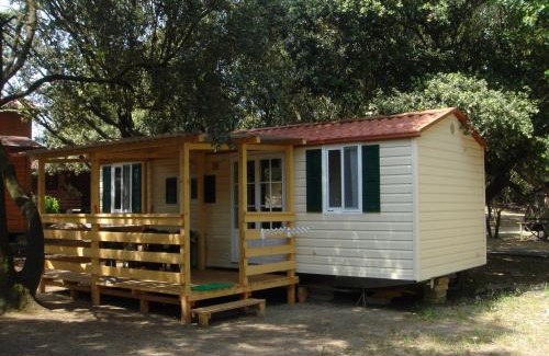 Quartiere XXXV Lido di Castel Fusano Other | Camping Internazionale Di Castelfusano