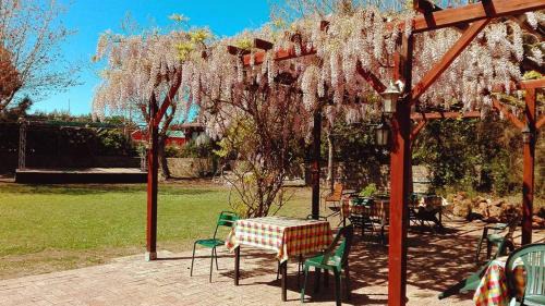 Quartiere XXXV Lido di Castel Fusano Other | Camping Internazionale Di Castelfusano