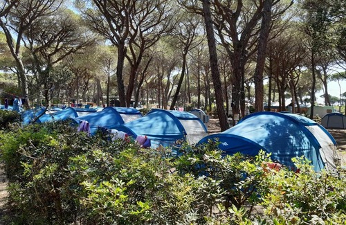 Principina a Mare Other | Camping Principina