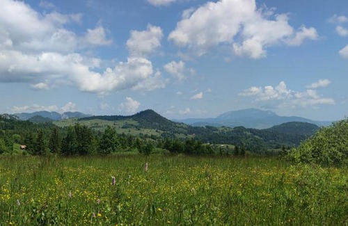 Damuc Other | Camping VATRA