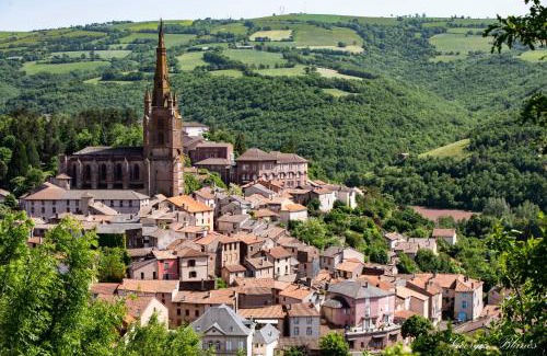 Belmont-sur-Rance Other | CAMPING VERT LAVANDE
