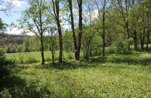 Belmont-sur-Rance Other | CAMPING VERT LAVANDE