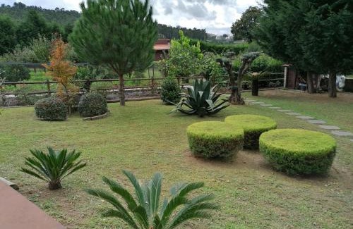 Mosteiro Villa | CAMPO DE SOBARBO - Guest House rural