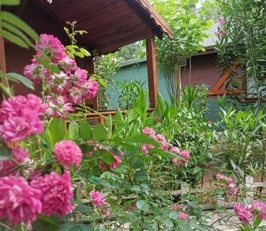 Cirali Cabin | Canario Bungalows