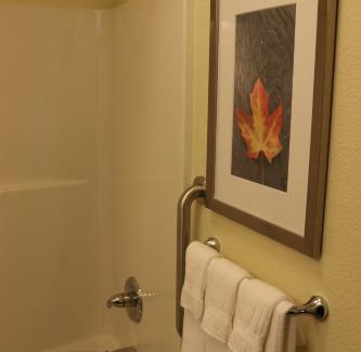 Bloomington Hotel | Candlewood Suites Bloomington by IHG
