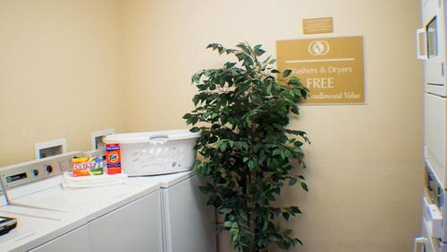 Jacksonville Hotel | Candlewood Suites Jacksonville by IHG