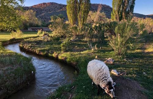Lewis Resort | Canyon Of The Ancients Guest Ranch