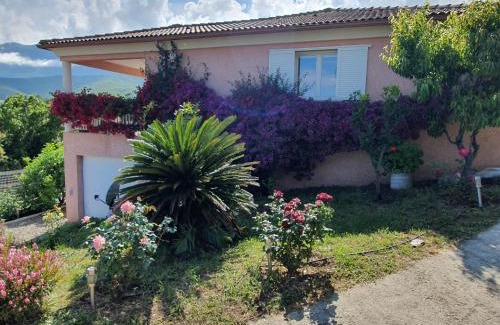Pietracorbara Villa | CAP CORSE VILLA VUE MER et MONTAGNE