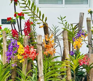 Anse Kerlan Villa | Cap Jean Marie Beach Villas