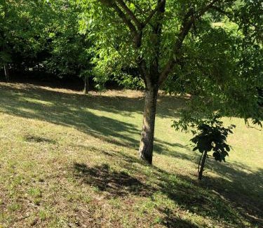 Casine House | Capannina Vesale