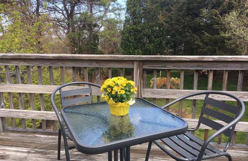 Sandwich House | CAPE COD GETAWAY-Walk to Beaches, Marina & Cape Cod Canal-FEW SUMMER WEEKS LEFT