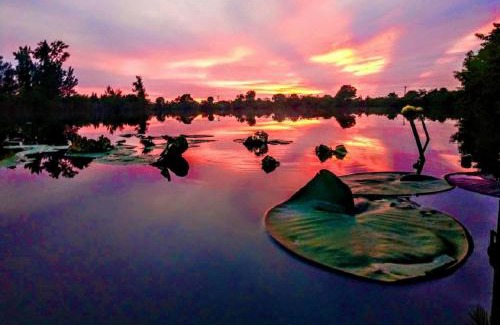 Burnt Store Villa | Cape Coral Wildlife Views-Heated Pool-Pet Friendly