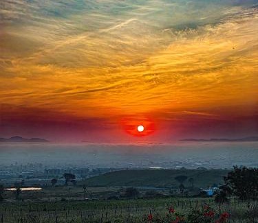 Helderberg Rural House | Capelands Wine Farm & Guesthouse