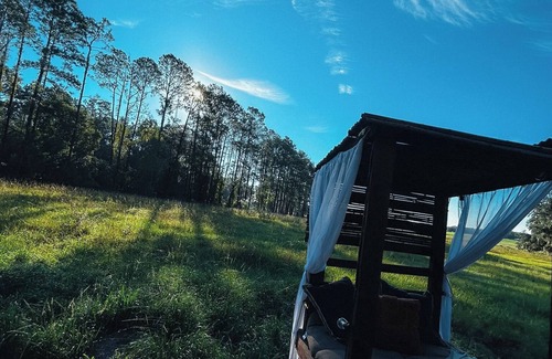 Dade City RV Rental | Capsule olea