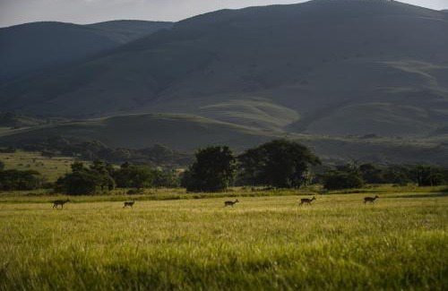 Houtboschoek Cabin | Caracal Lodge