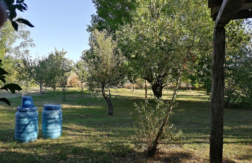 Zaragoza House | caravan in my garden