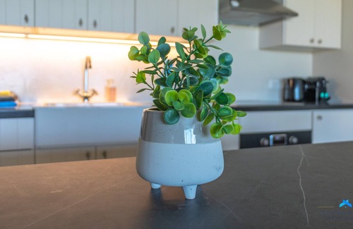 Kralendijk Apartment | Caribbean Lofts Bonaire