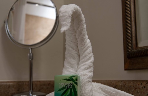 Vayas Hotel | Caribe Hotel Ponce
