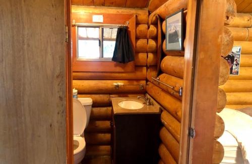 McKinley Park Cabin | Carlo Creek Cabins