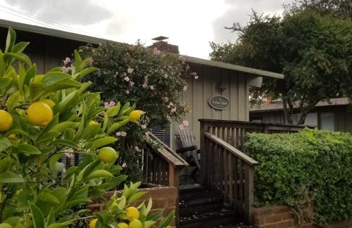 Carmel Valley Hotel | Carmel Valley Lodge