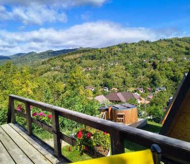 Runcu Ski Chalet | Carpatina Rustic House -Chaleturi A-frame Runcu