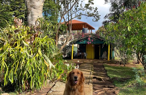 La Joya House | CASA VILLA ANACAHUITA ideal to be in contact with nature.