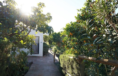 El Borge House | Casa 1/andalusian architecture in a beautiful green oasis 1 km from El Borge